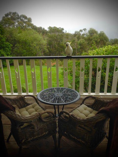 Moments Mountain Retreat Villa Wentworth Falls Buitenkant foto